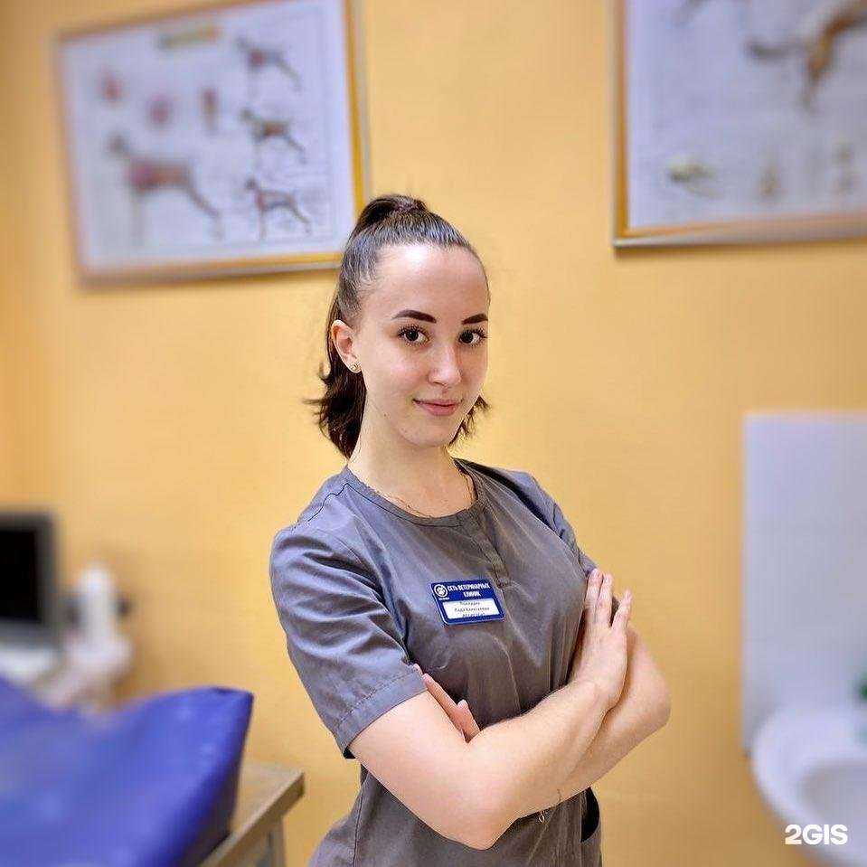 Отзывы на компанию ПроВет в Красноярске c фото