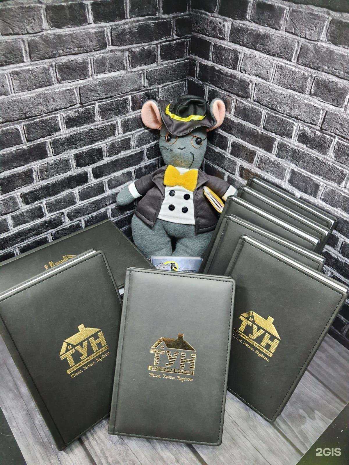 Отзывы на компанию Мышка-наружка в г. Бронницы c фото