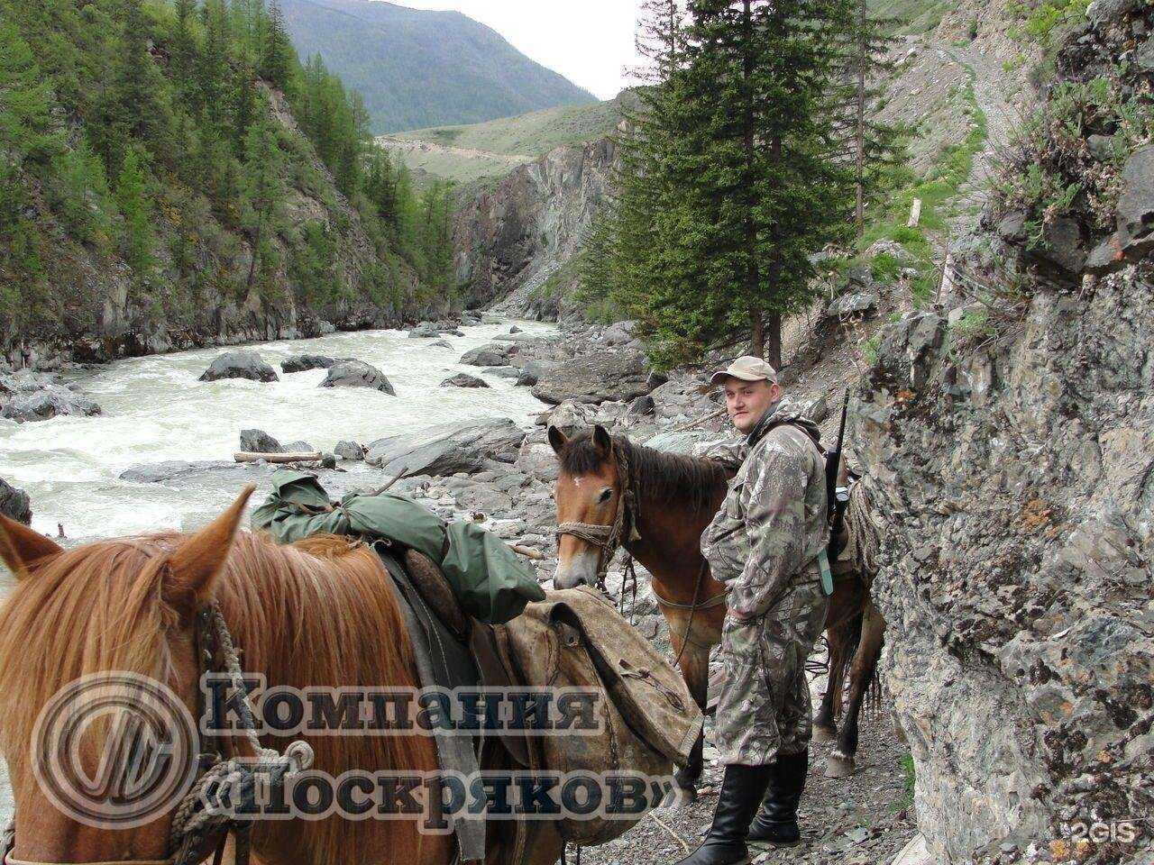 Отзывы на компанию Поскряков в Кемерове c фото