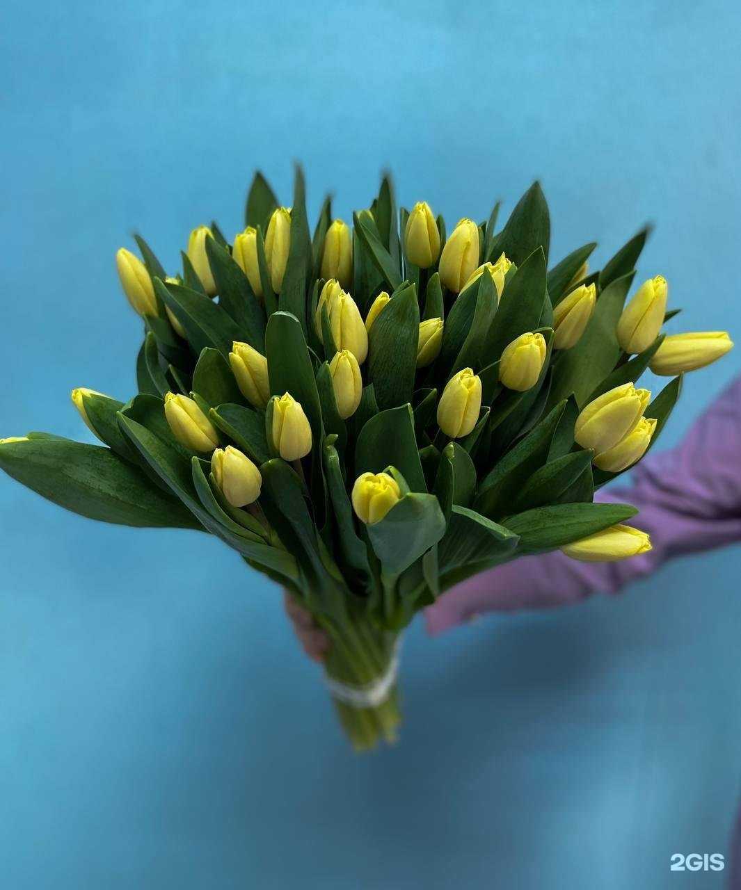 Отзывы на компанию Любушка в Кургане c фото