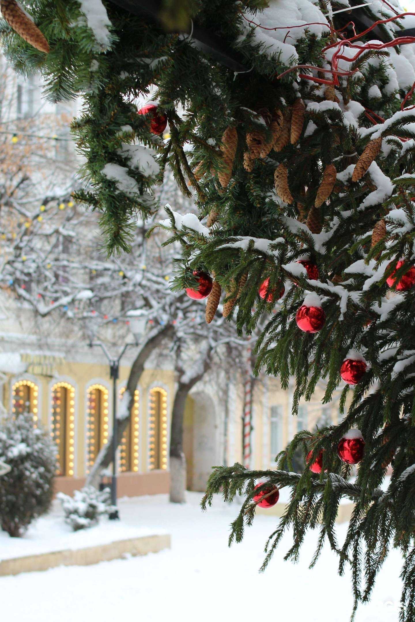 Отзывы на компанию Печатный двор в Орле c фото - фотография 2 из 2
