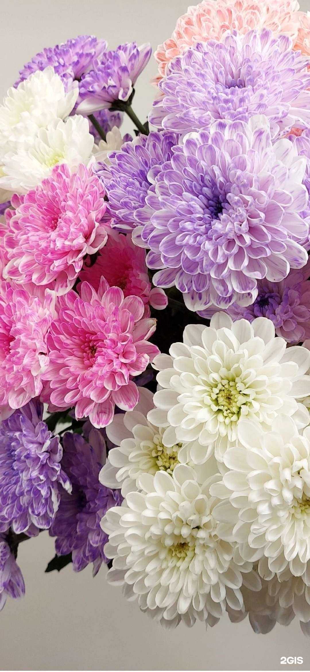 Отзывы на компанию Цветочный киоск №8 в Барнауле c фото