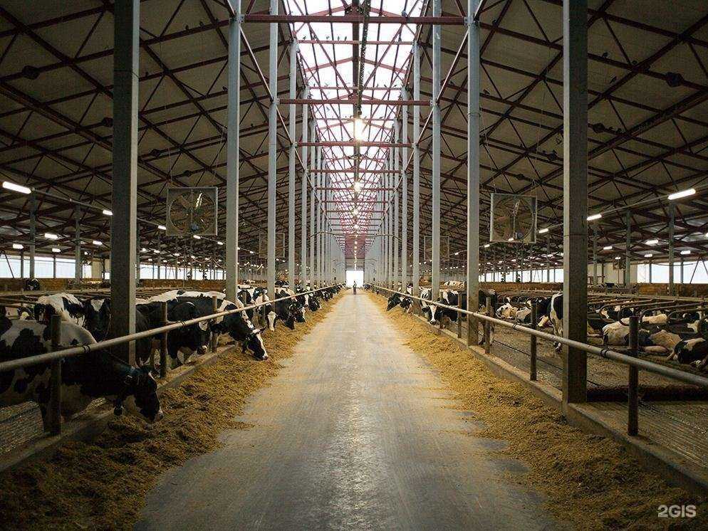 Отзывы на компанию АБ Арск в г. Казань c фото