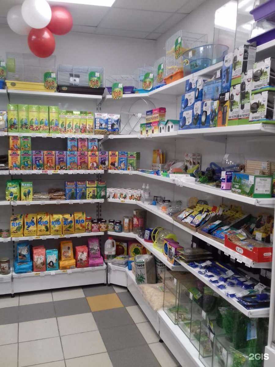 Отзывы на компанию Зоомаркет в г. Челябинск c фото