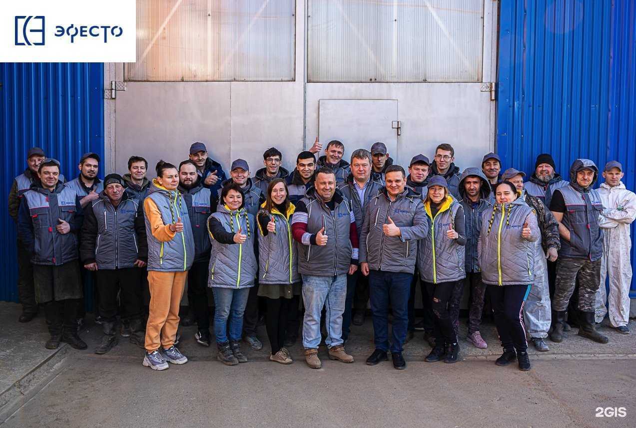 Отзывы на компанию Эфесто в г. Павловский Посад c фото