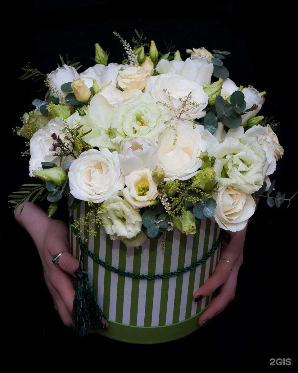 Отзывы на компанию Протея в г. Калининград c фото