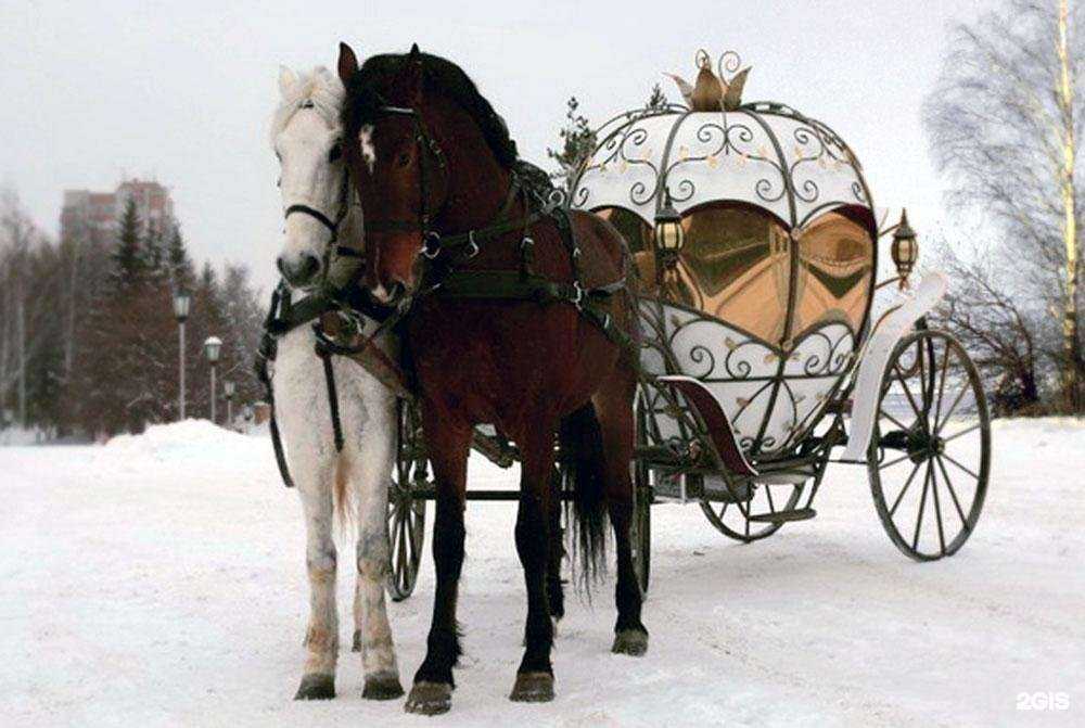 Отзывы на компанию Мир вашей мечты в Екатеринбурге c фото