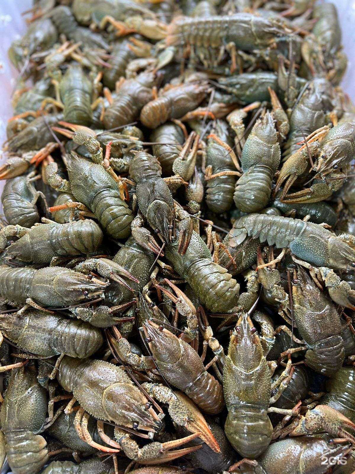 Отзывы на компанию Пивная Заправка в Сочи c фото