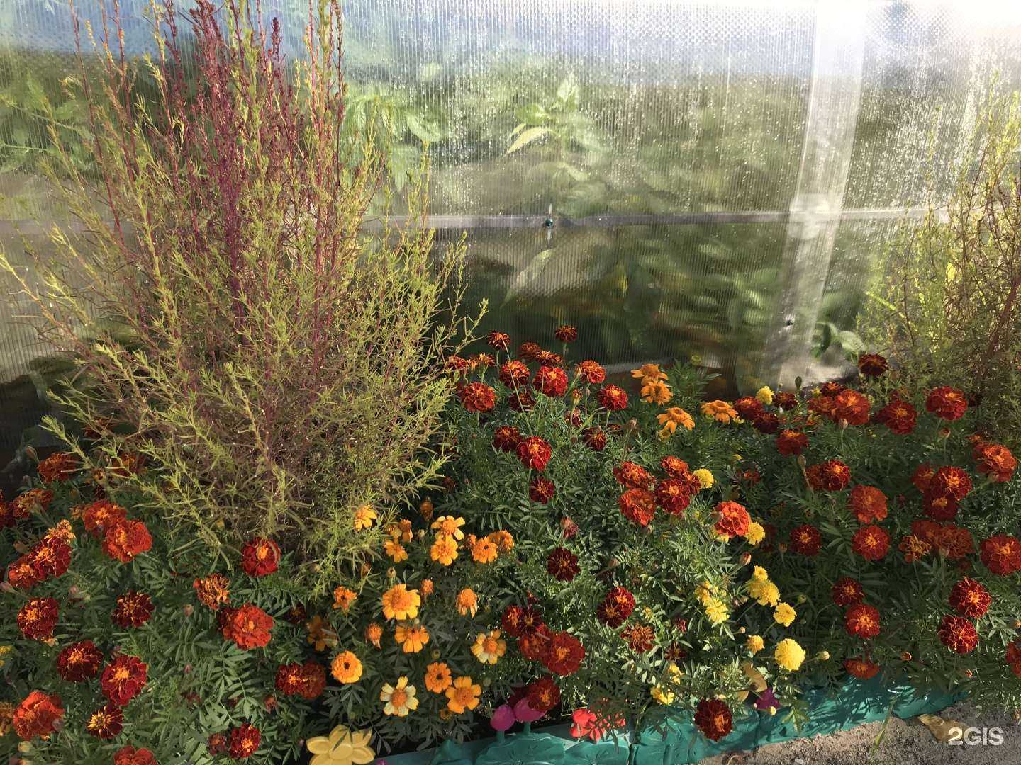 Отзывы на компанию Искорка в г. Якутск c фото