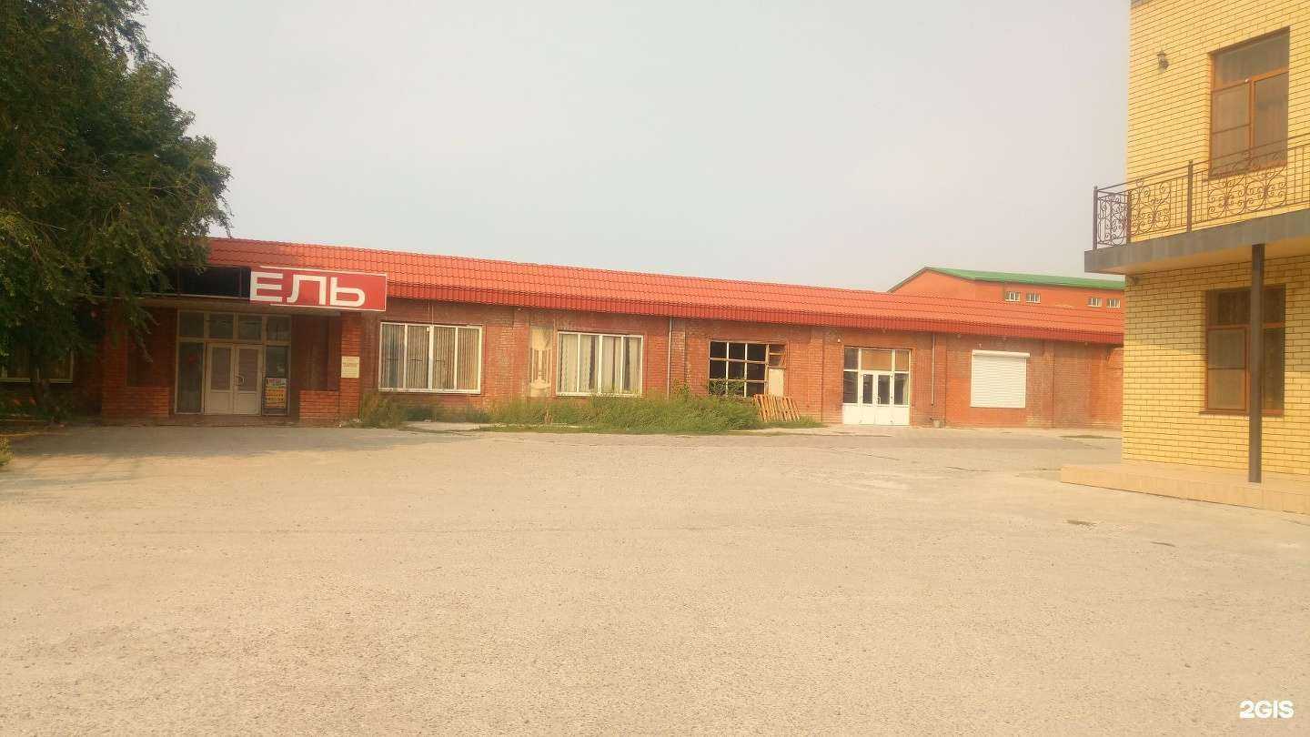 Отзывы на компанию Топиар в Астрахани c фото - фотография 2 из 2