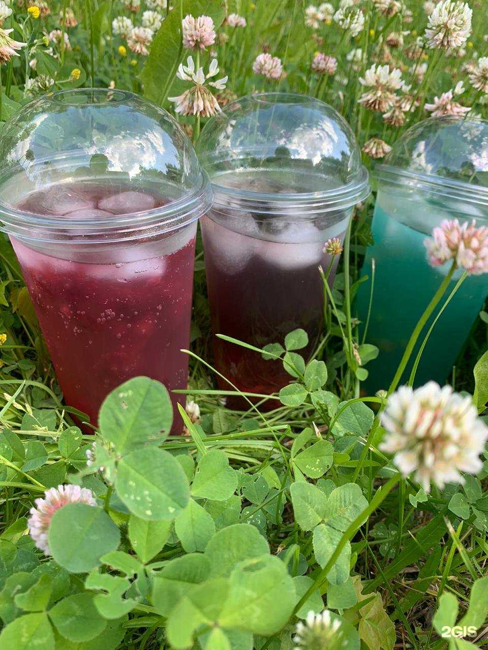 Отзывы на компанию Toms coffee в Егорьевске c фото