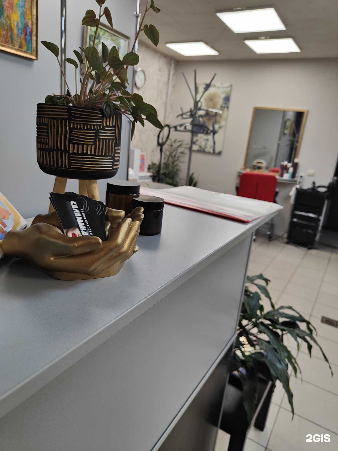 Отзывы на компанию Саламандра в Иванове c фото