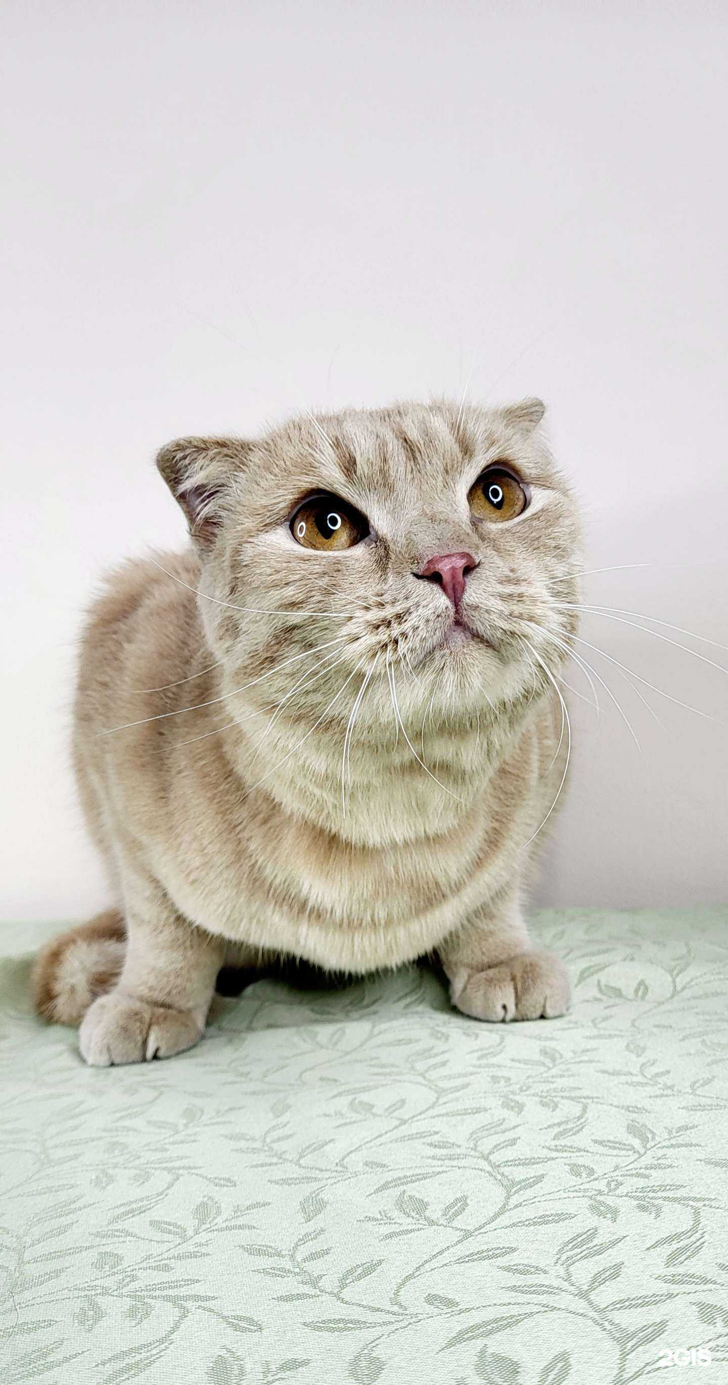 Отзывы на компанию Art Groom в Омске c фото