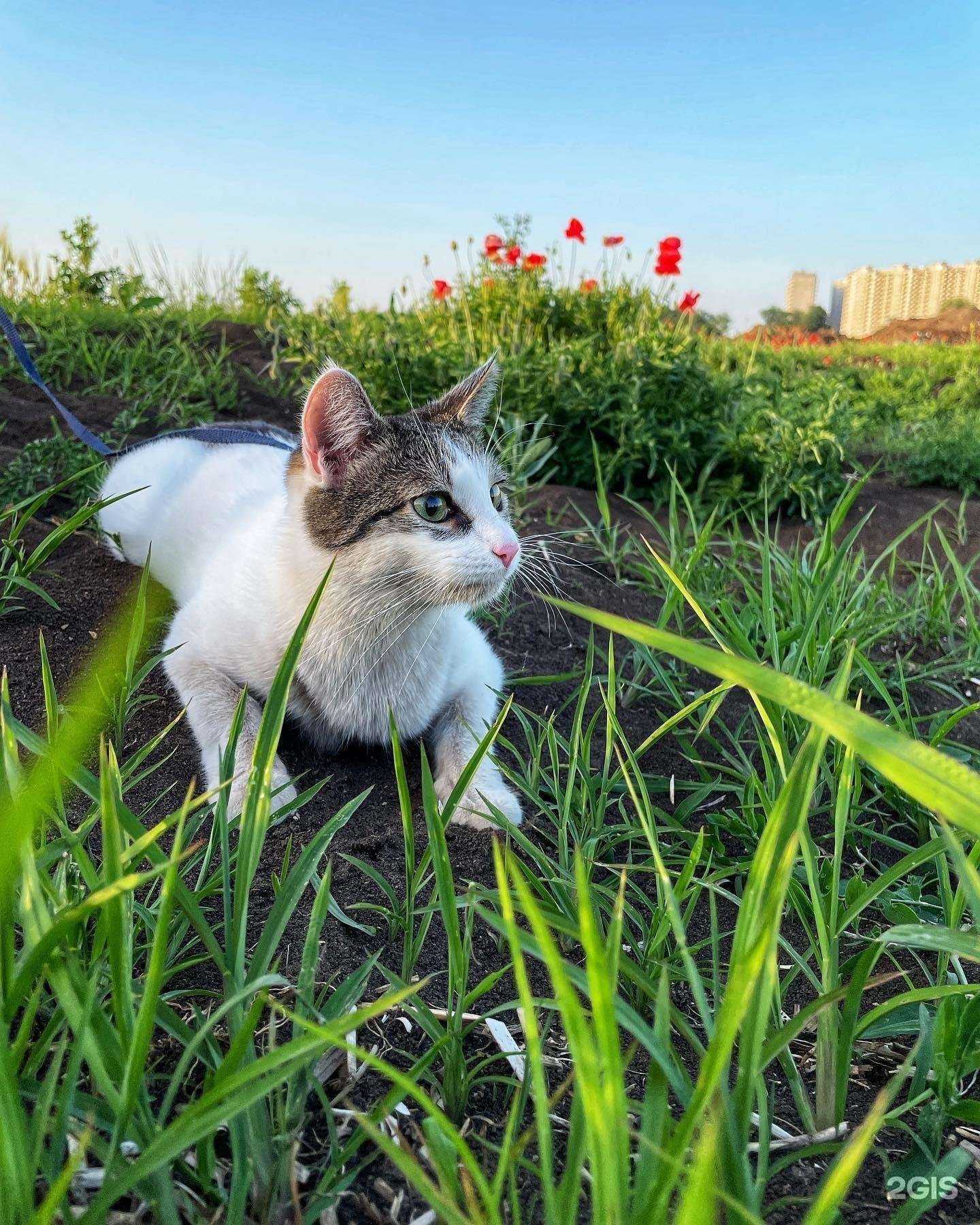 Отзывы на компанию Аксинья в Краснодаре c фото