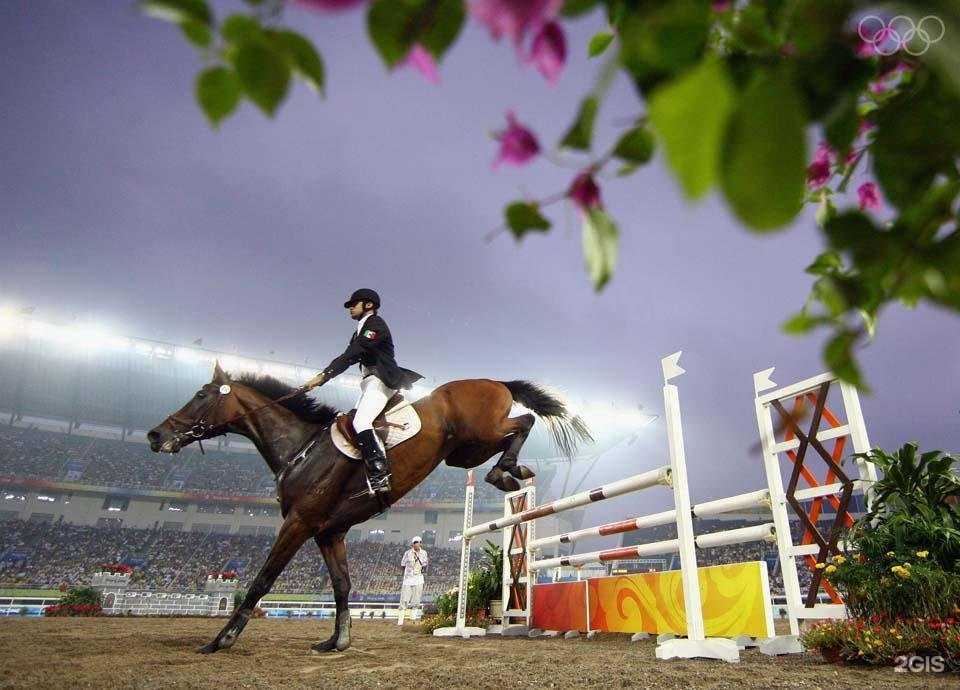 Отзывы на компанию Спортивная школа по современному пятиборью в г. Калининград c фото