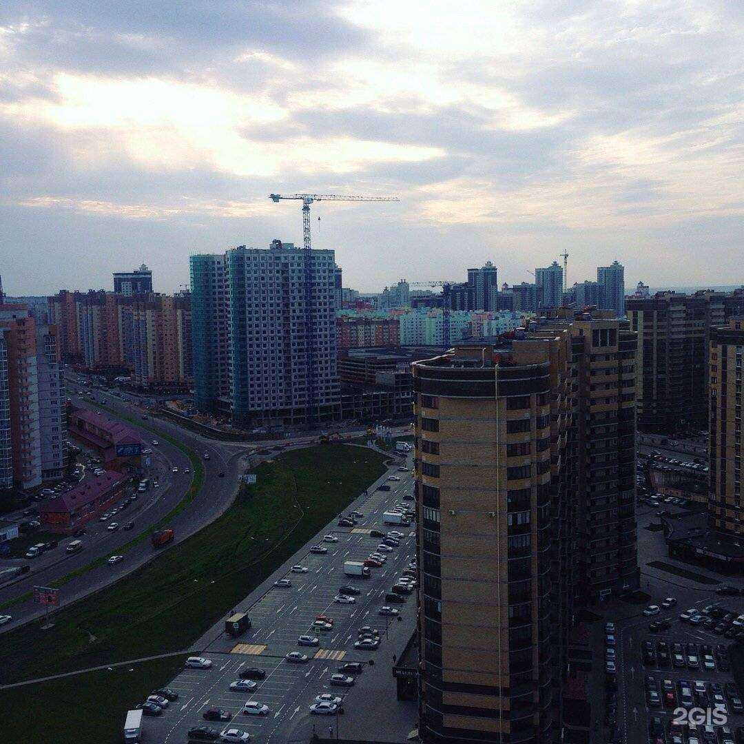 Отзывы на компанию Абсолют в Воронеже c фото - фотография 2 из 2