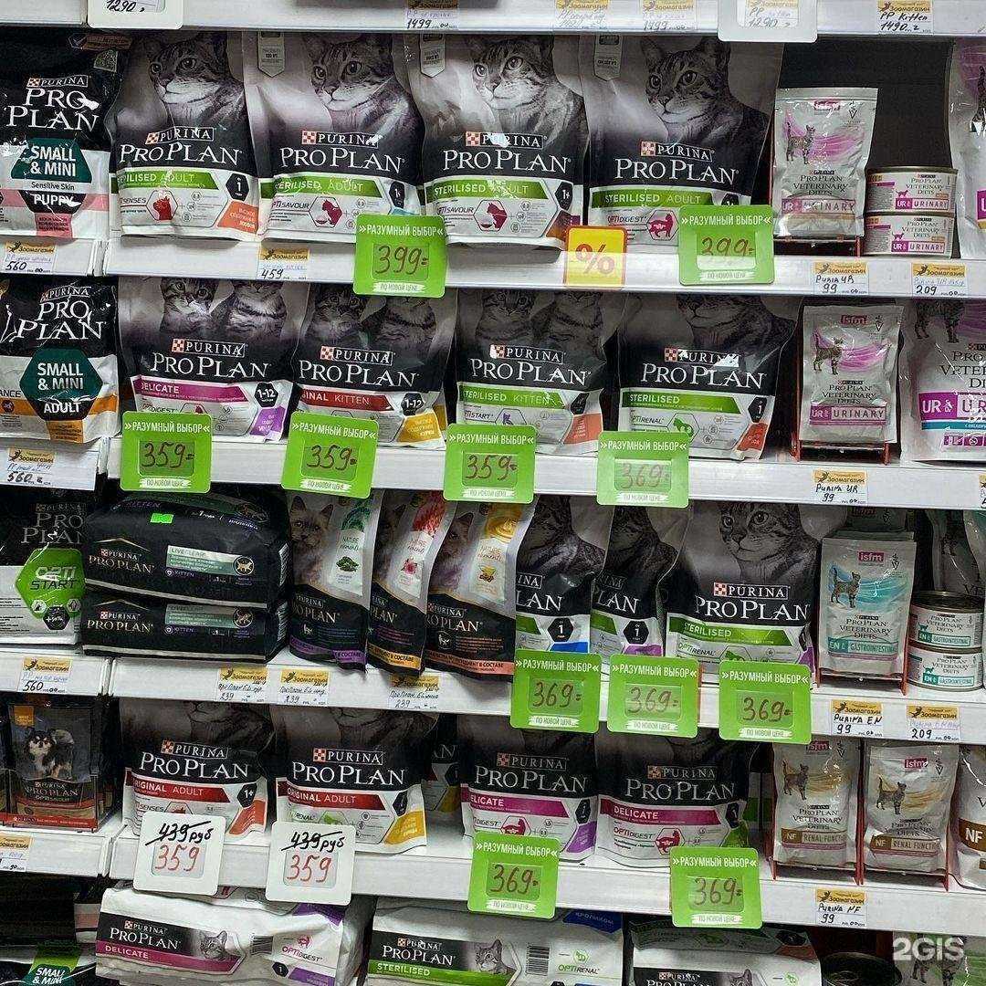 Отзывы на компанию Черный кот в г. Казань c фото