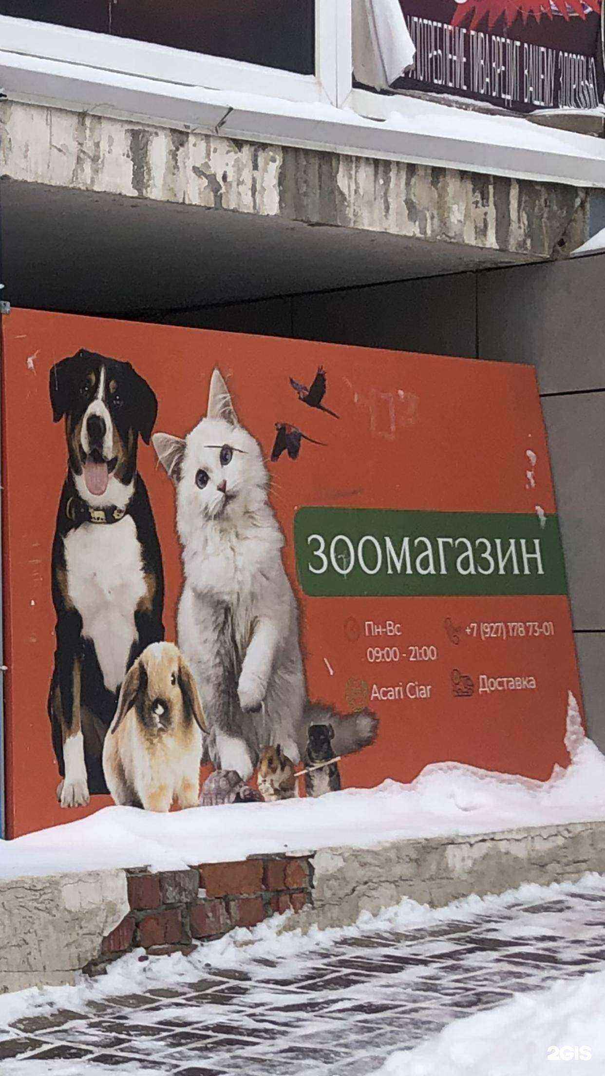 Отзывы на компанию Serdce Lisa в г. Саранск c фото