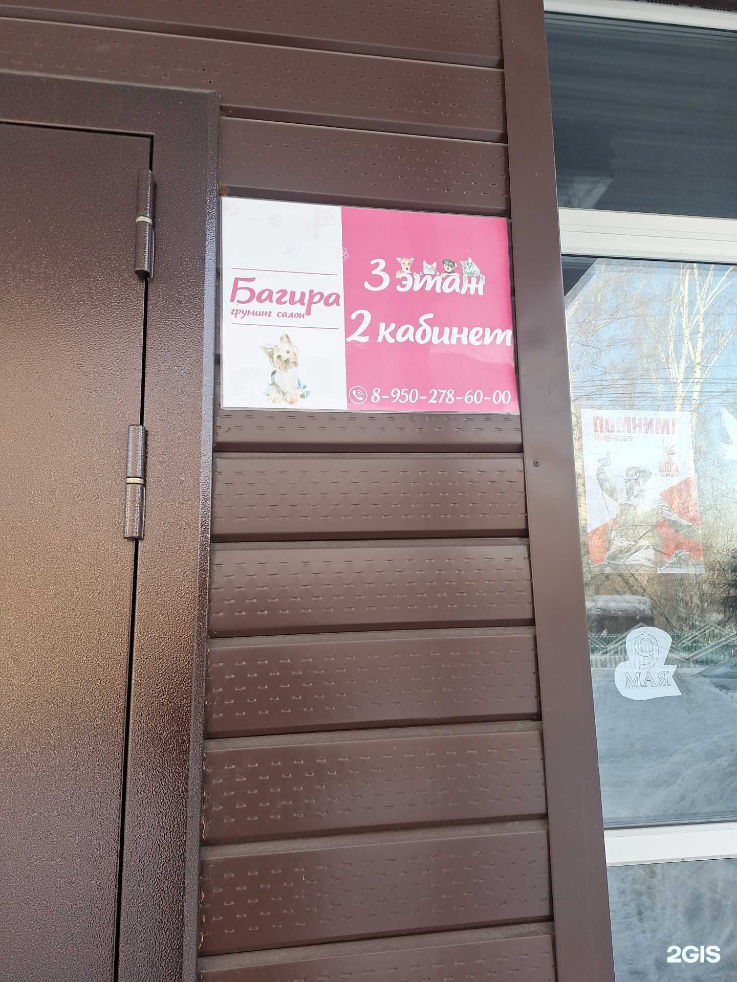 Отзывы на компанию Багира в г. Осинники c фото