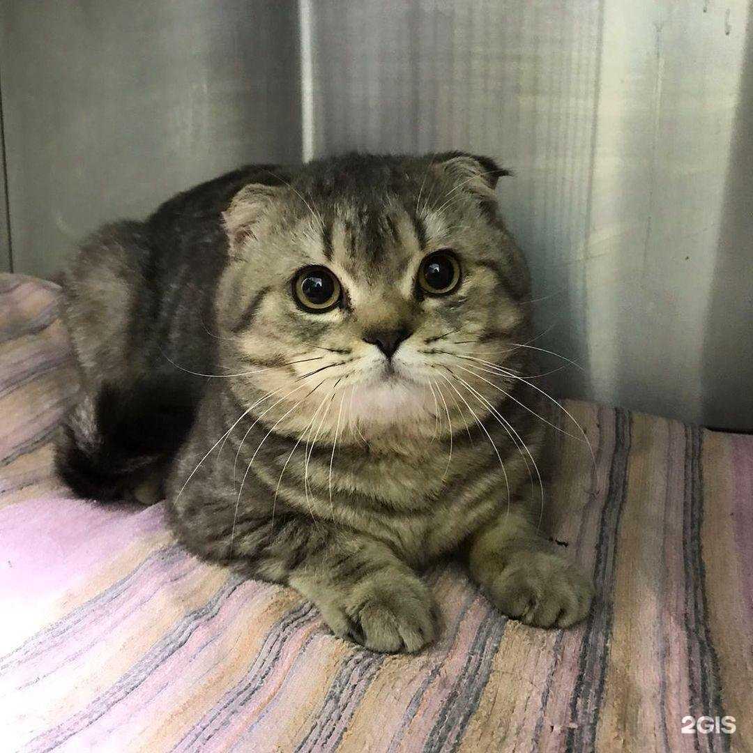 Отзывы на компанию Томас в Йошкар-Оле c фото