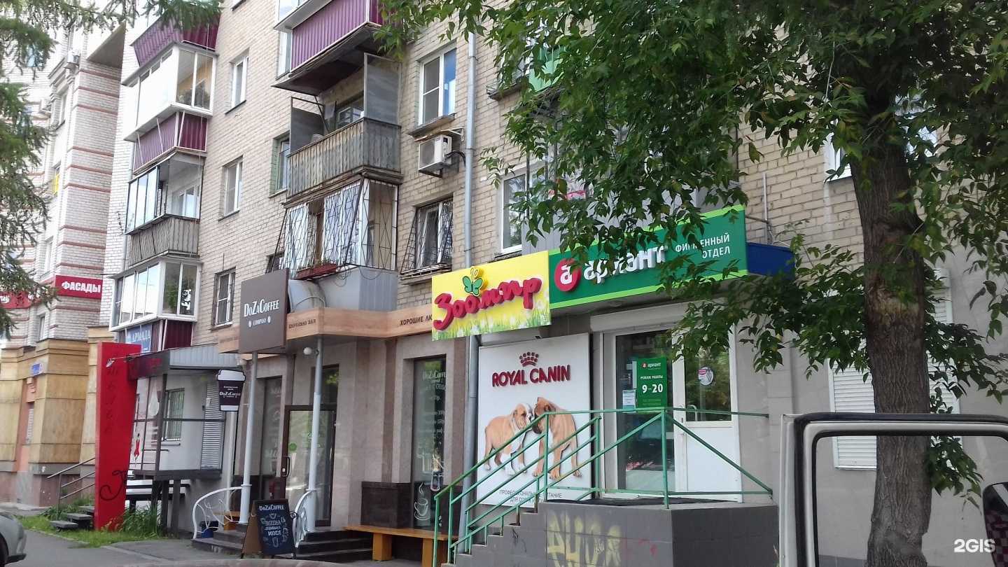 Отзывы на компанию MASTER PET в Челябинске c фото - фотография 2 из 2