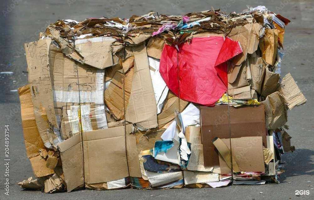 Отзывы на компанию Эдельвейс-н в г. Междуреченск c фото