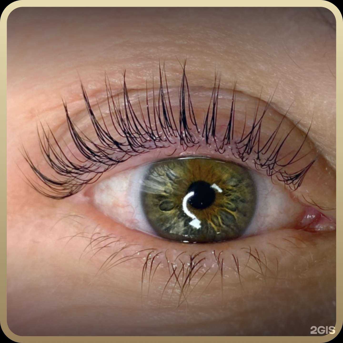 Отзывы на компанию Студия красоты в Хабаровске c фото