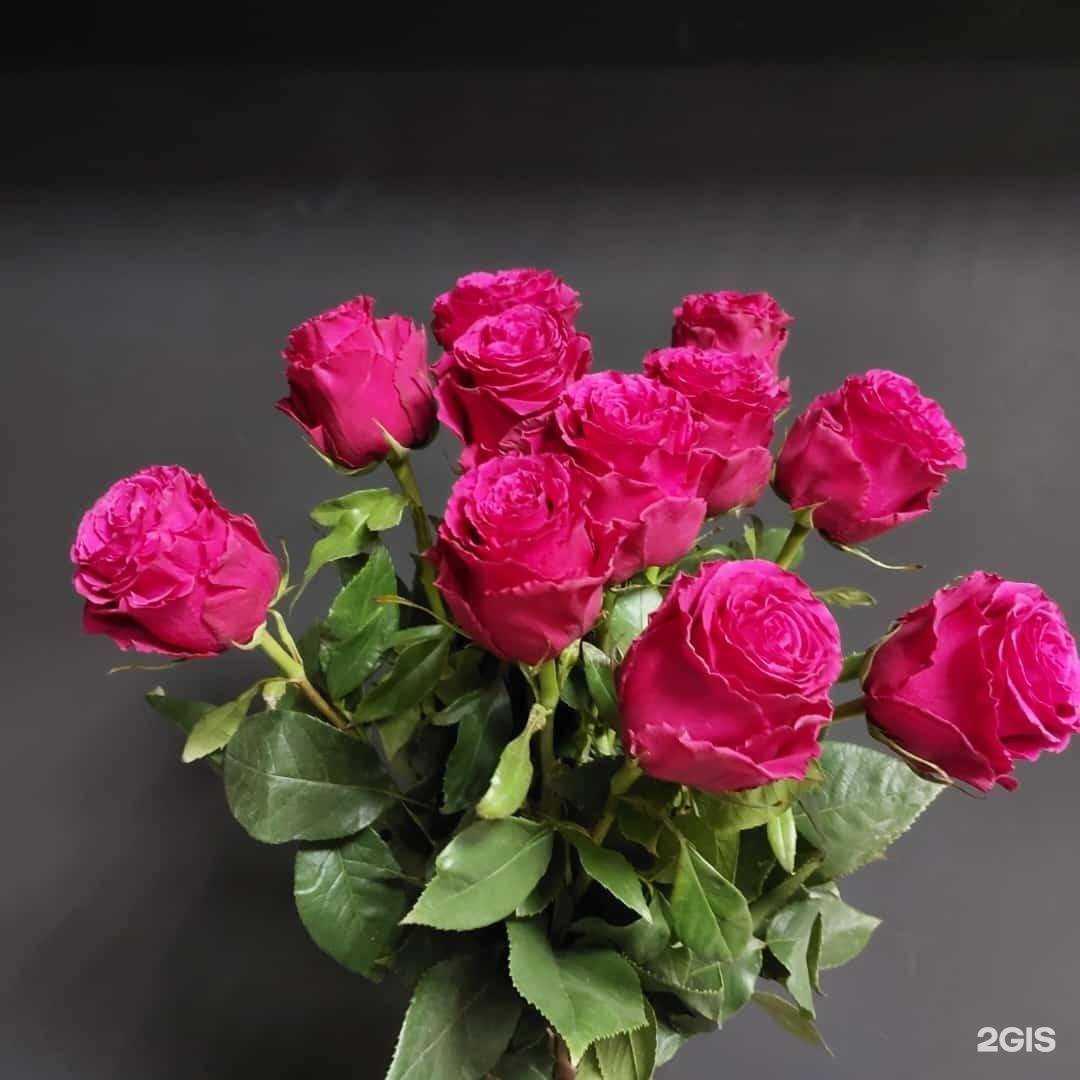 Отзывы на компанию Мила в Якутске c фото