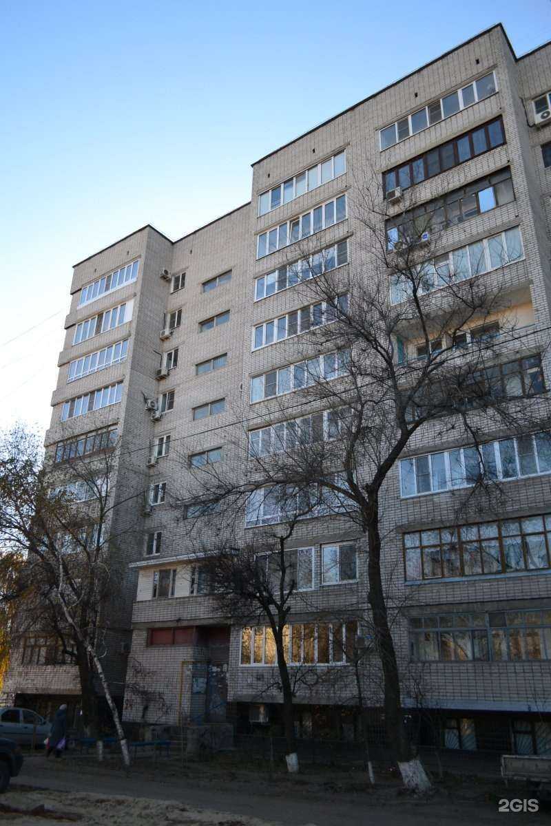 Отзывы на компанию Ежевика в Волгограде c фото - фотография 2 из 2