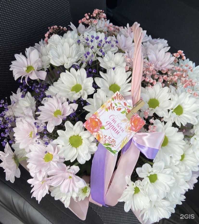 Отзывы на компанию Фрезия в г. Альметьевск c фото