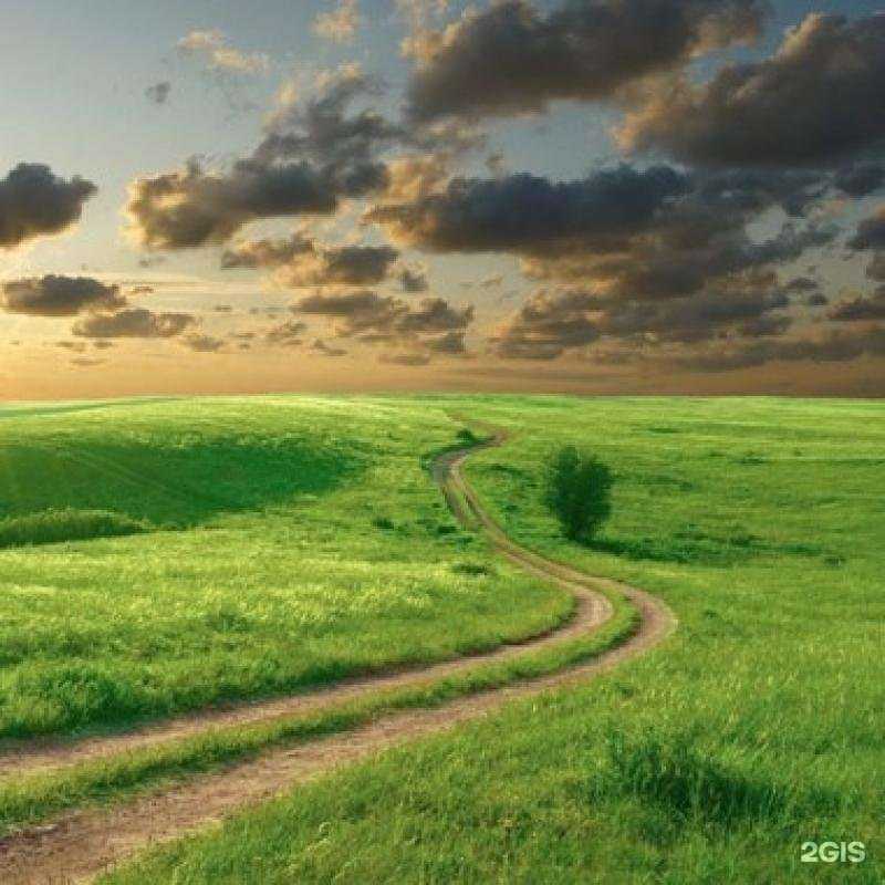 Отзывы на компанию Ладодея в г. Долгопрудный c фото