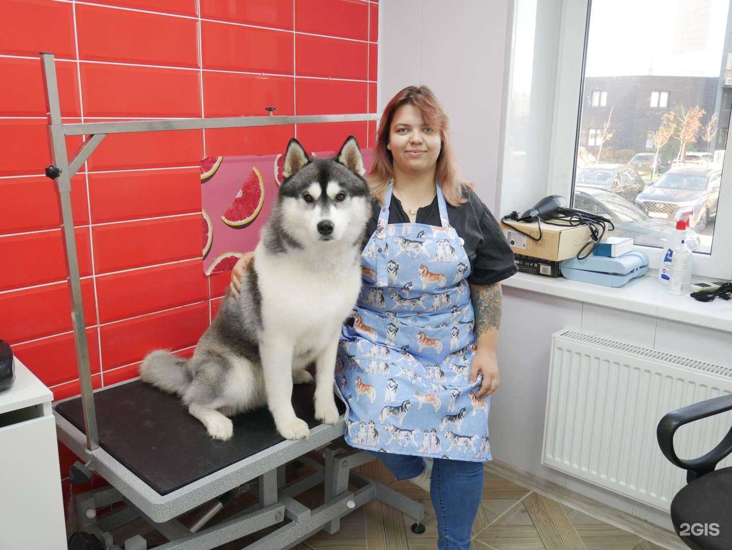 Отзывы на компанию Ярчук в Раменском c фото