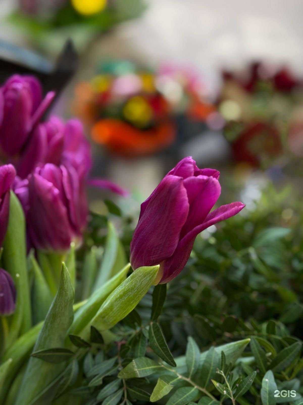 Отзывы на компанию Цветочный салон в Уссурийске c фото