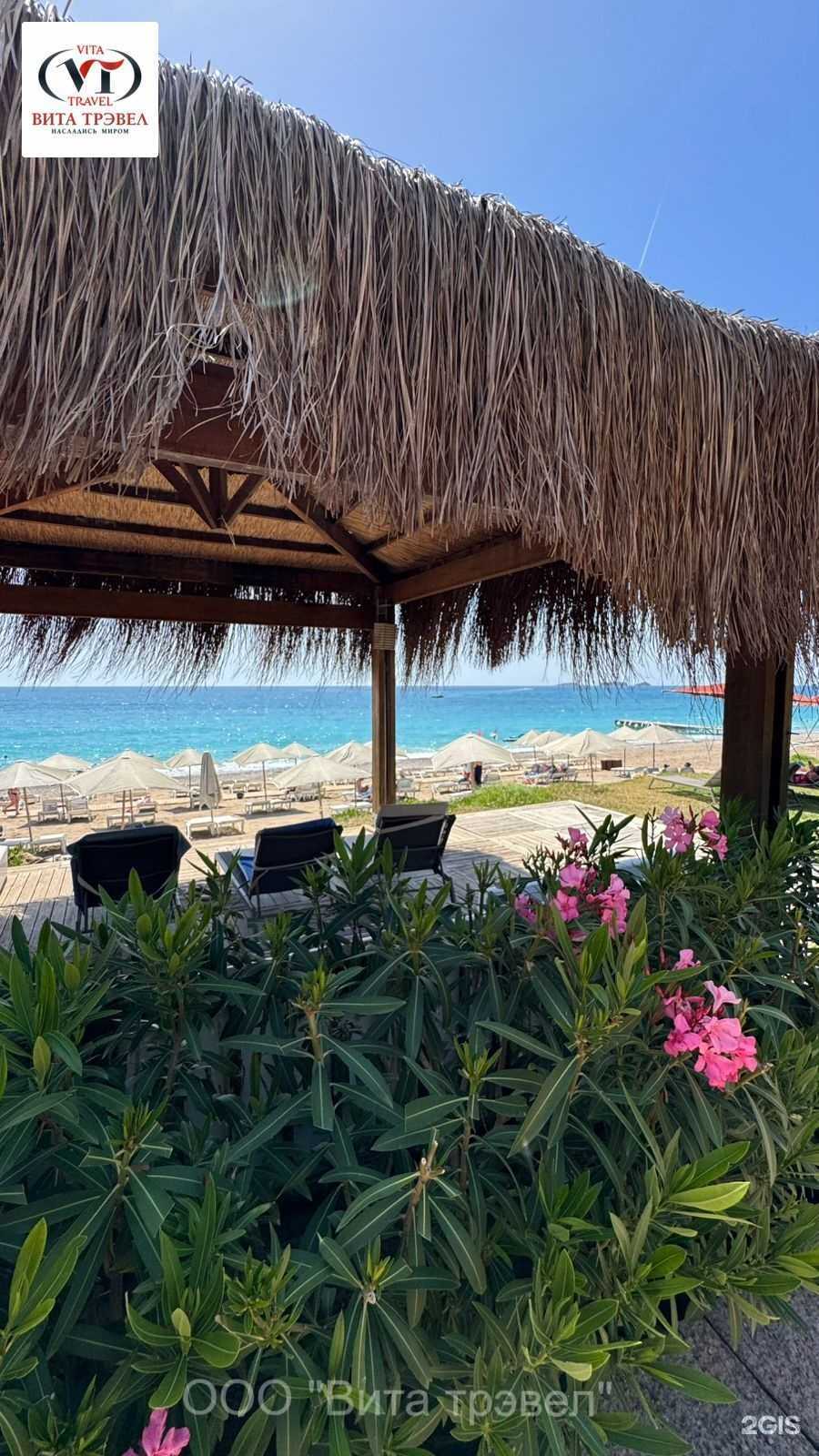 Отзывы на компанию Вита Трэвел в Тюмени c фото