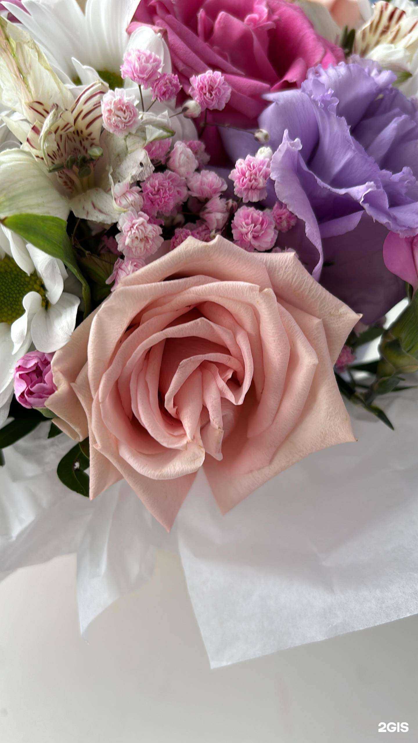 Отзывы на компанию ЦветкOff в Стерлитамаке c фото