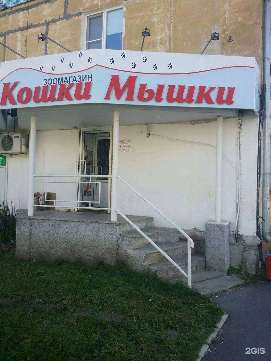 Отзывы на компанию Кошки-мышки в Нижнем Тагиле c фото