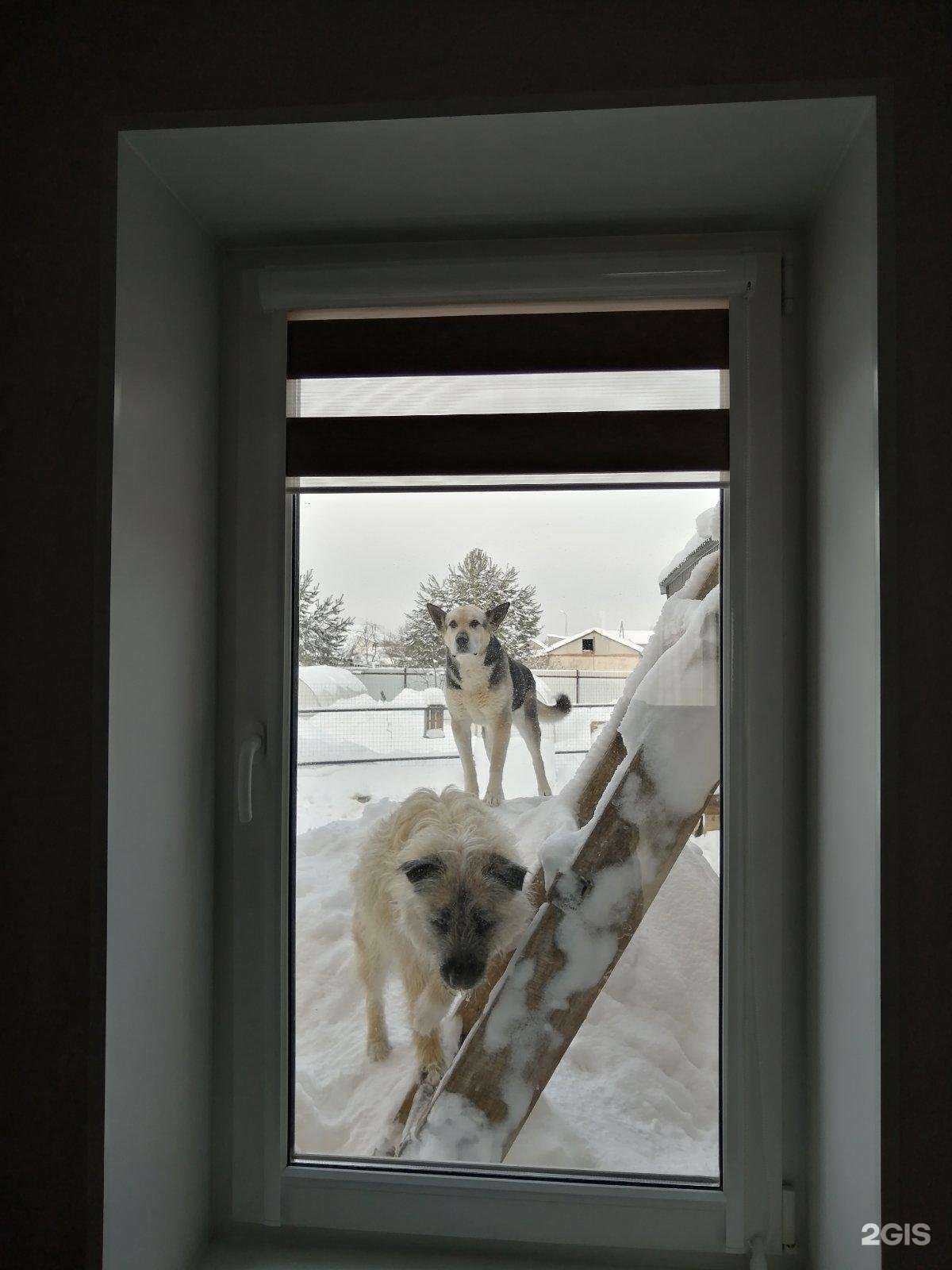 Отзывы на компанию Colibri в Ижевске c фото