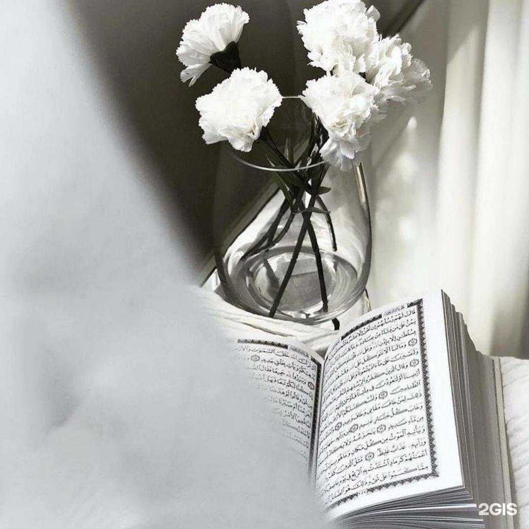 Отзывы на компанию Medina в Грозном c фото