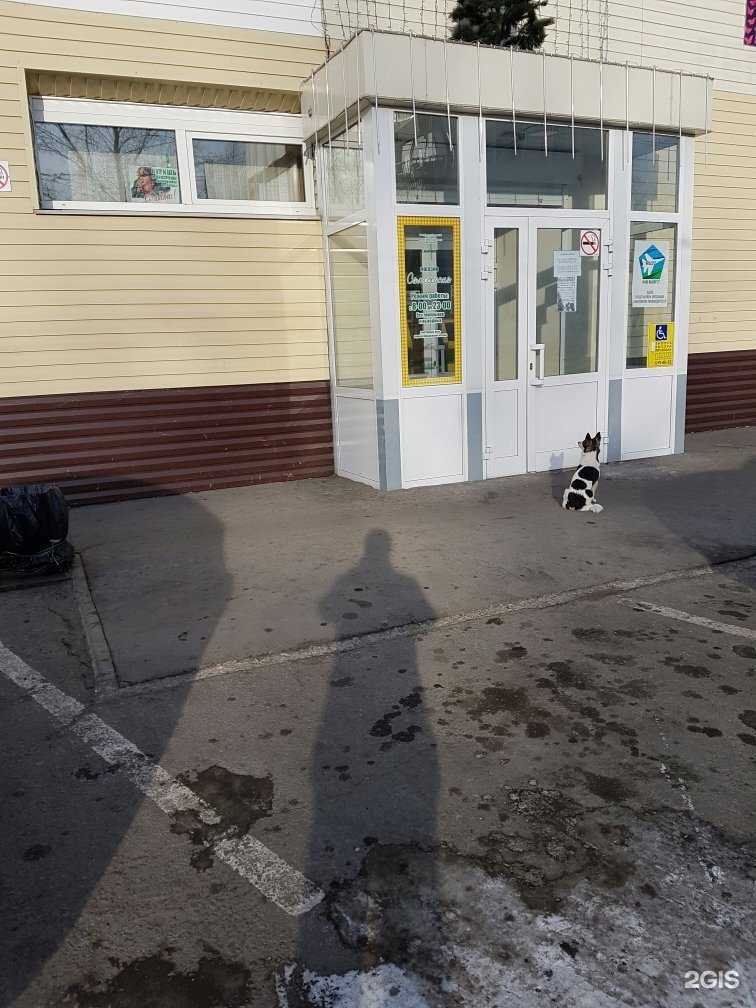 Отзывы на компанию Самородок в Хабаровске c фото