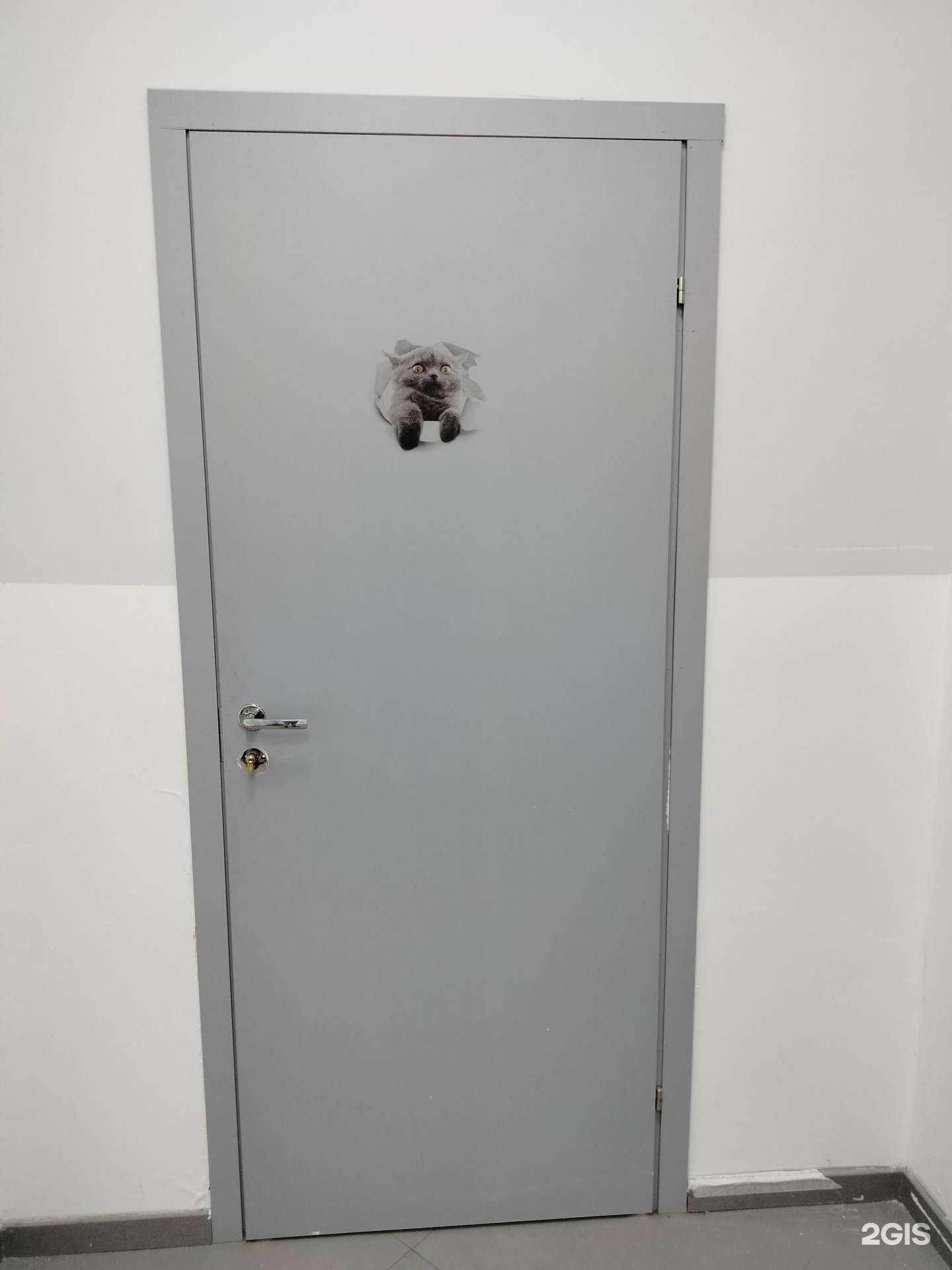 Отзывы на компанию Зоомагия в Лобне c фото