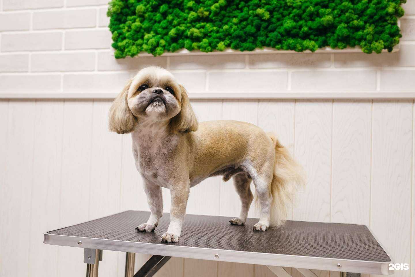 Отзывы на компанию Будка в Калининграде c фото