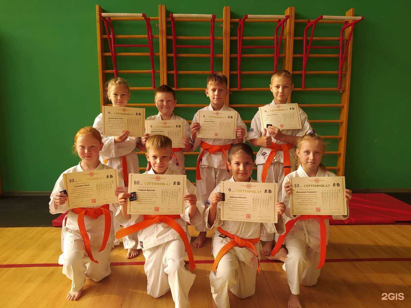 Отзывы на компанию Киокушинкай в г. Пермь c фото