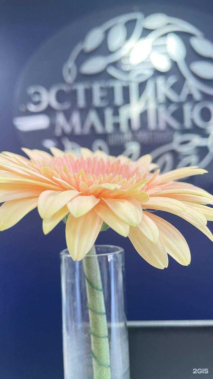 Отзывы на компанию Эстетика маникюра Анны Митиной в Брянске c фото