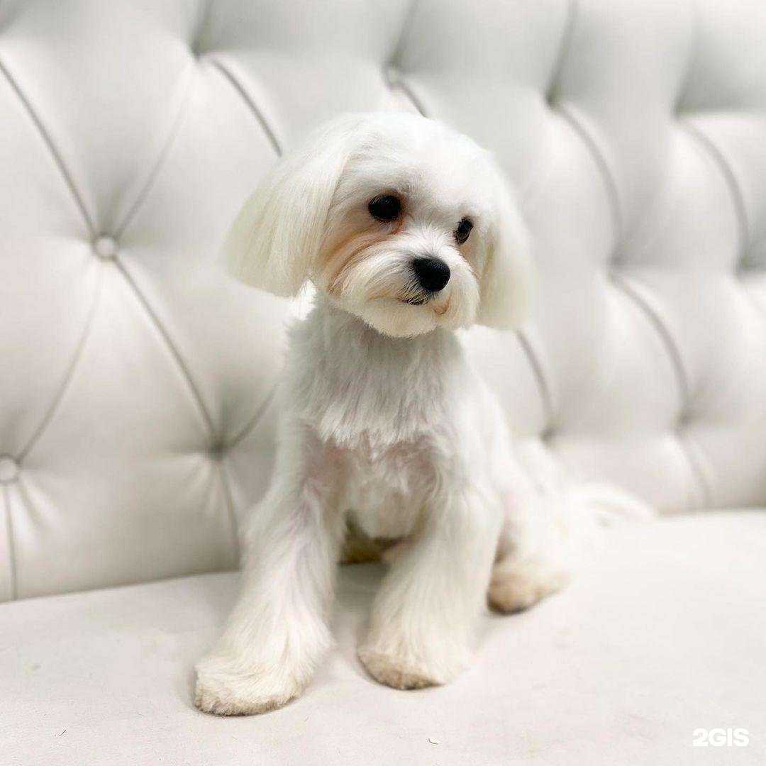 Отзывы на компанию Хвастун в Люберцах c фото