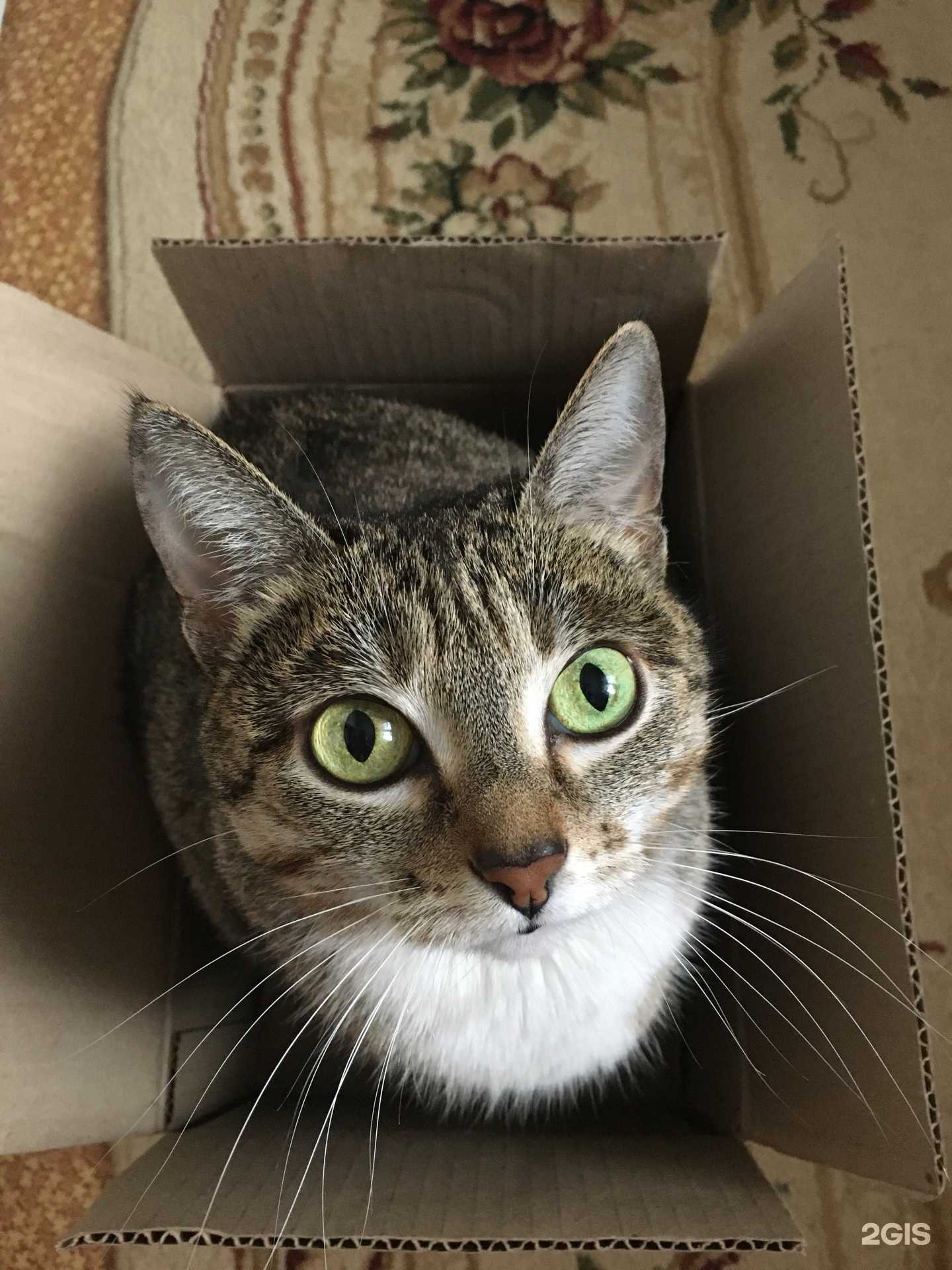 Отзывы на компанию ПульсВет в г. Новороссийск c фото