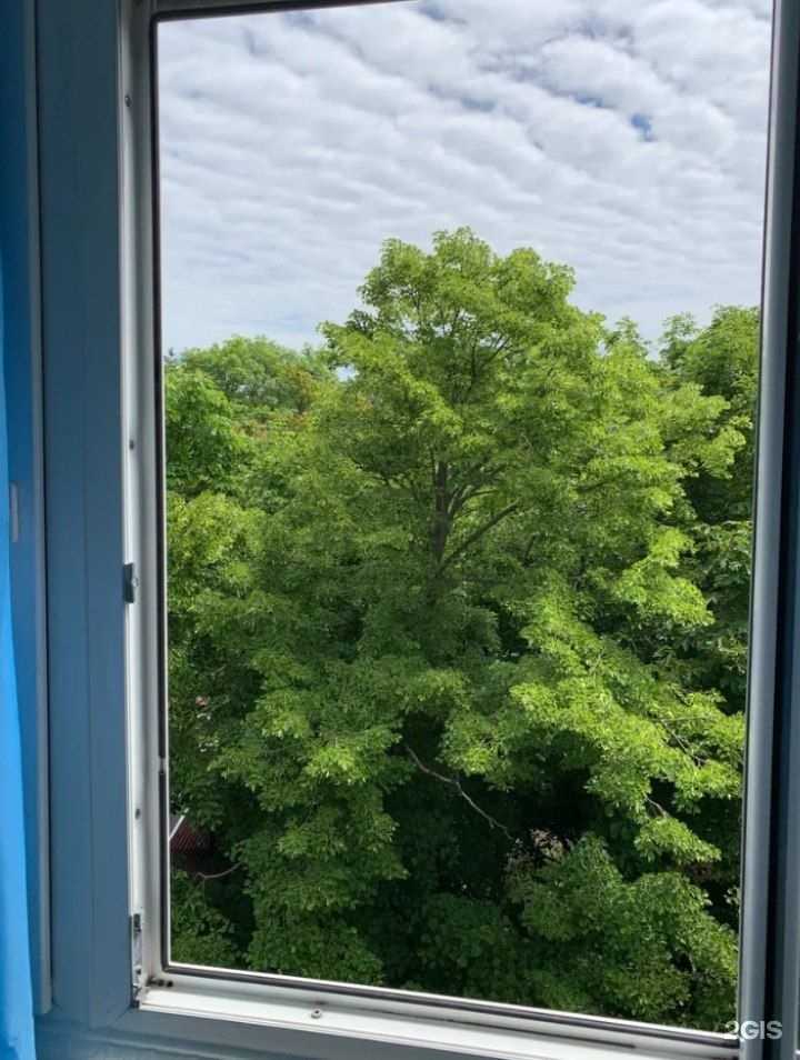 Отзывы на компанию Социальная Аптека в Геленджике c фото - фотография 2 из 2