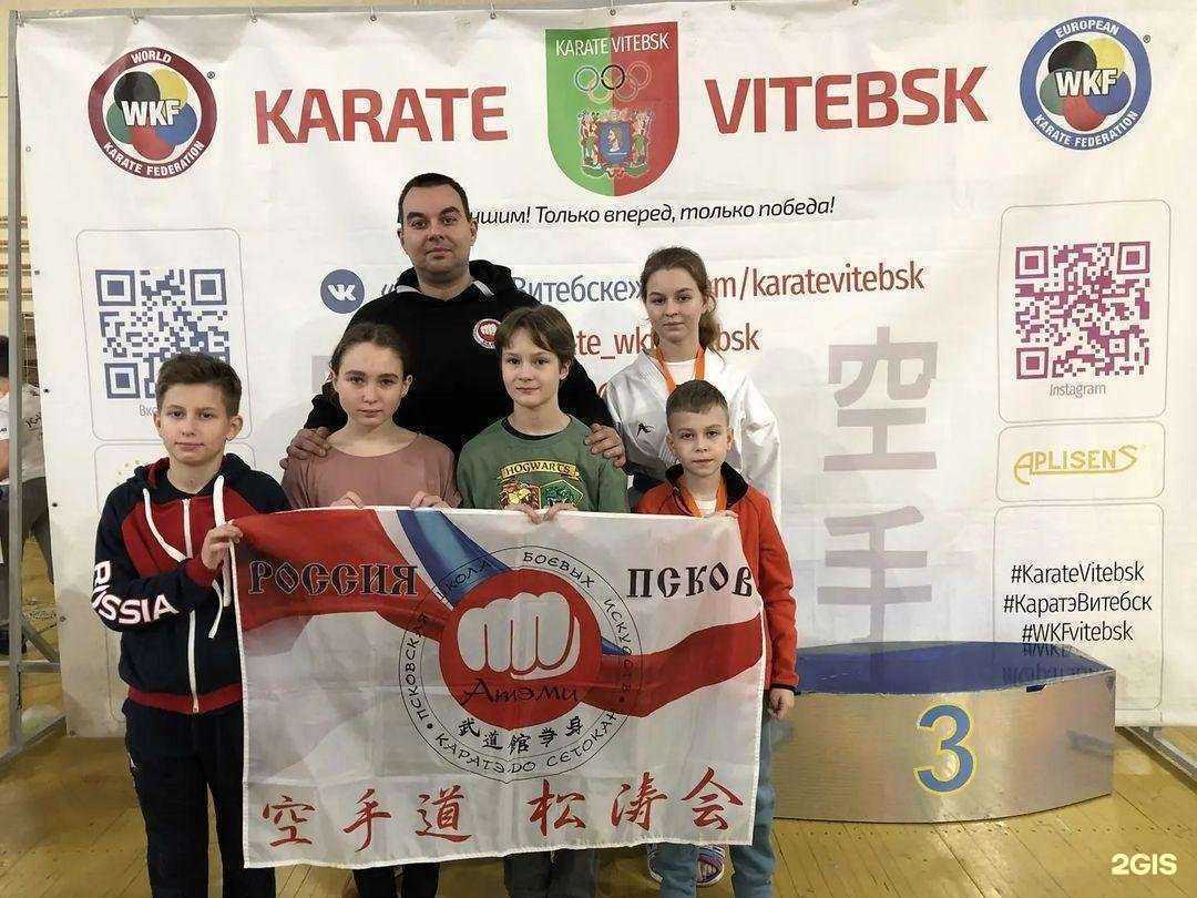 Отзывы на компанию Будокан Атэми в г. Псков c фото