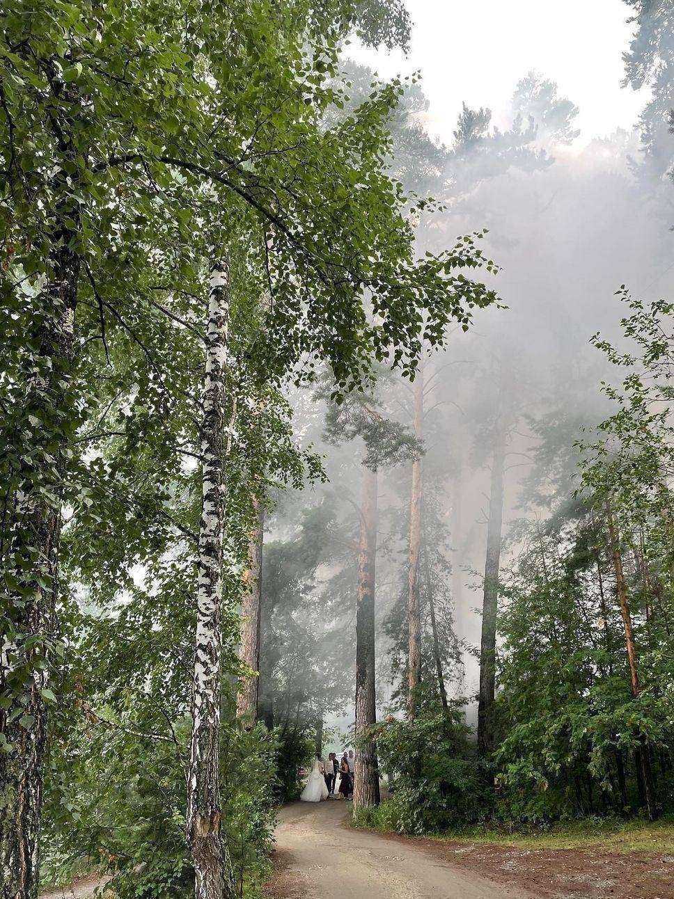 Отзывы на компанию Пункт проката лыж и коньков в Новосибирске c фото