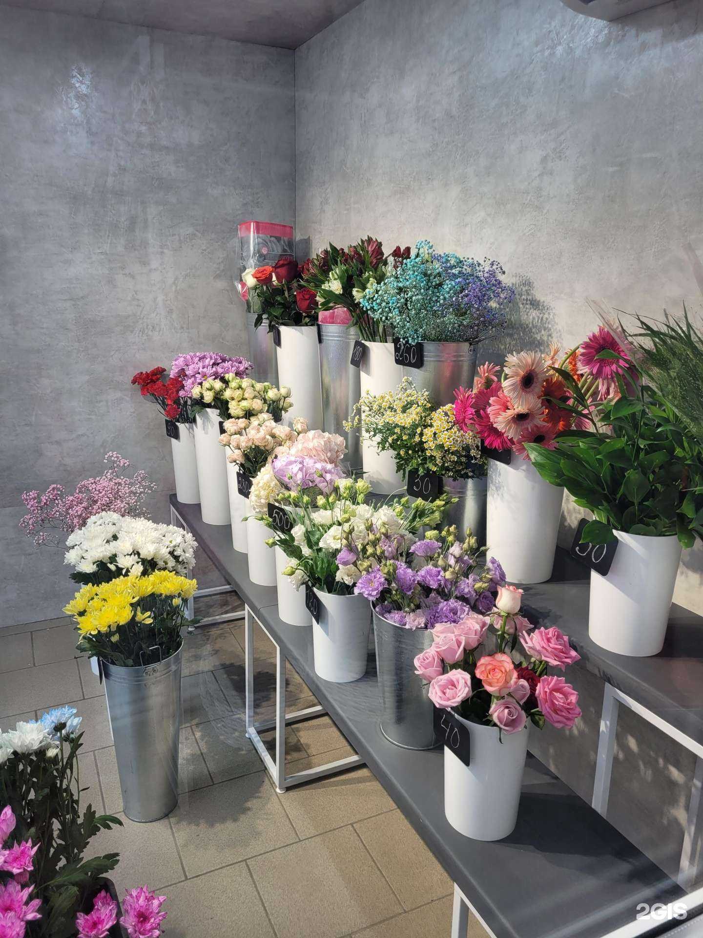 Отзывы на компанию RosaLand в г. Тамбов c фото