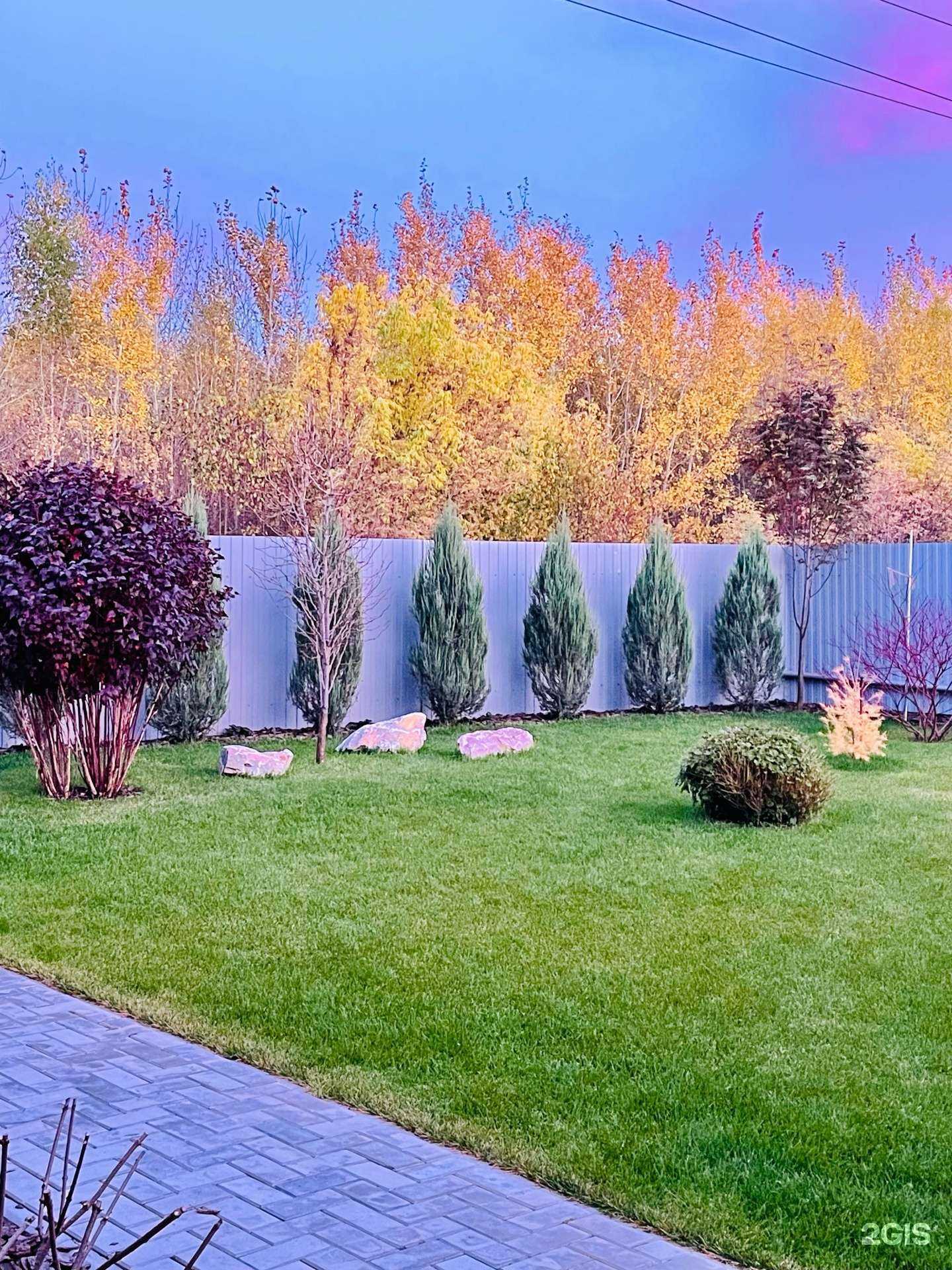 Отзывы на компанию Самшит в г. Омск c фото